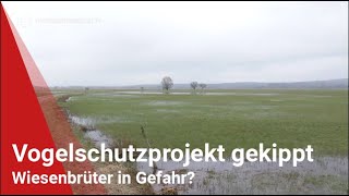 Vogelschutzprojekt gekippt Wiesenbrüter in Gefahr [upl. by Sayer802]