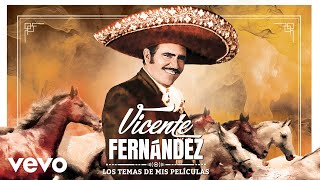 Vicente Fernández  Cuando Yo Quería Ser Grande Cover Audio [upl. by Jeffery]