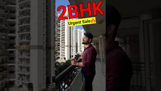 THIS 2BHK APARTMENT IS AVAILABLE ON URGENT SALE IN NOIDA flatsinnoida Noida shorts [upl. by Nnylf]