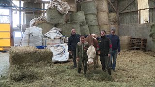 Salon de lagriculture de Paris  Des Montbéliardes se préparent au départ [upl. by Kolosick]