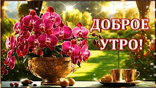 С ДОБРЫМ УТРОМ🌹С НОВЫМ ДНЁМ 🌹 УДАЧИ УСПЕХА ВЕЗЕНИЯ ВО ВСЁМ🌹🌹🌹🌹🌹🌹🌹🌹🌹🌹🌹🌹🌹🌹🌹🌹🌹🌹🌹🌹🌹 [upl. by Zil]