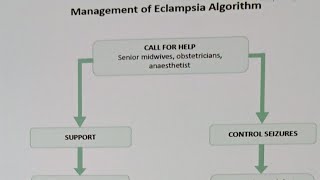 Eclampsia Algorithm mangement  and  International patient safety goals [upl. by Benjamen]