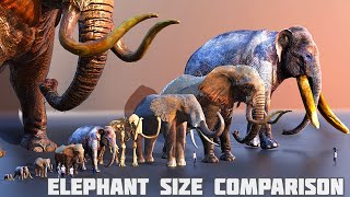 Elephants size comparison  mammoth size comparison 😱 [upl. by Haroved654]