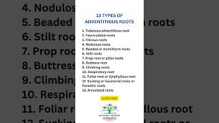 13 Types of ADVENTITIOUS ROOTS biologybloom [upl. by Graehl]