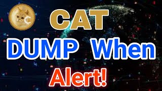 1000CAT Coin Huge EXPLOSION Price Prediction [upl. by Wanids]