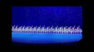 Rockettes Christmas Lights Finale 2022 flipped video [upl. by Alegnave709]