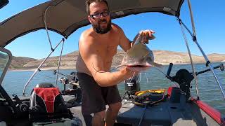 Fishing for big Channel Catfish at Lake Lahontan Nevada [upl. by Htnnek224]