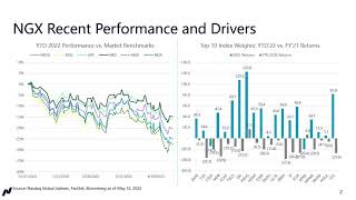 YTD Performance in the Nasdaq Next Gen 100 [upl. by Bigler941]