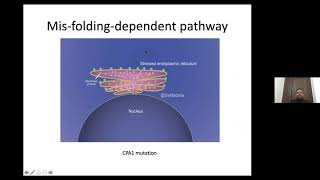 WEBINAR IV MANAGEMENT OF CHRONIC PANCREATITIS [upl. by Monteria]