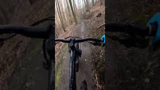 Bikepark Bodetal Thale Downhill amp Harzer Roller mtb mtblife trailschlawiner bikepark harz [upl. by Fadas]