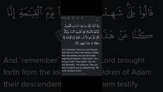 We testified Allah is our Lord allah quran lord [upl. by Ayidan]