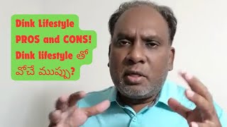 Dink Lifestyle PROS and CONS Dink lifestyle తో వోచే ముప్పు [upl. by Akimit]