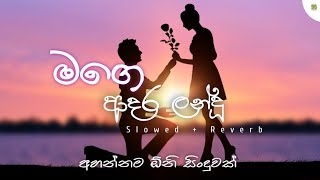 Mage adara landu  මගෙ ආදර ලන්දූ  Slowed Reverb  Sinhala cover song [upl. by Hakkeber413]