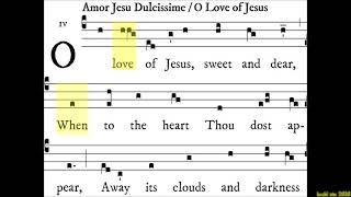 hrc catholic hymn  o love of Jesus  amor Jesu dulcissime [upl. by Anaicilef]