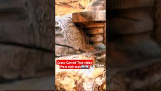 mysterious Ancient Crazy carved oak Tree history who carved it and when [upl. by Tirb]