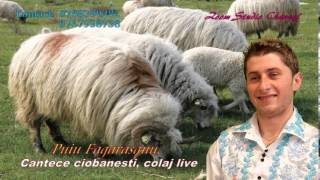 CANTECE CIOBANESTI COLAJ LIVE 2015 PUIU FAGARASANU [upl. by Alika]