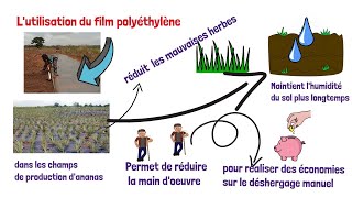 Formation sur lutilisation du Film Polyéthylène [upl. by Retha553]