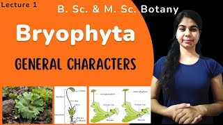 Bryophyta  General characters  in Hindi  Botany  B Sc amp M Sc [upl. by Dosi372]