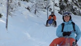 Schlittenfahren in Tirol Winterurlaub im Skigebiet Tirol ⛷ [upl. by Wawro]