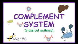 Complement System Made Simple  classical pathway [upl. by Siurad]