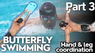 Butterfly Swimming Series Part 3 quotHand amp Leg Coordinationquot Swimming Tips for Beginners [upl. by Arteid557]