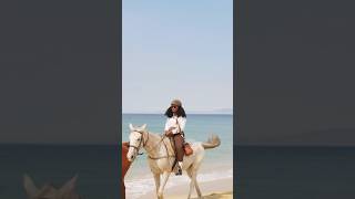 Highly recommend you try this horsebackriding horse shortsvideo travlevlog solotrip adventure [upl. by Thomasina]