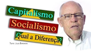 Qual a Diferença entre Capitalismo e Socialismo [upl. by Esilahs]