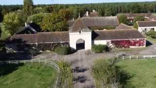 Haras de la Paillardiere [upl. by Bergh]