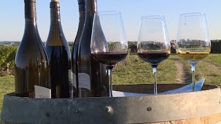 Sur la route des vins  la belle histoire des vignobles de la Loire [upl. by Lianna]