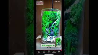 GLASS GARDEN Like Share and Subscribe [upl. by Valene737]