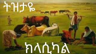 Ethiopian Instrumental Music Collections  Ethiopian Classical Music 2024 [upl. by Slohcin822]