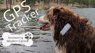 Tractive GPS Tracker for Dogs [upl. by Asilana]