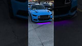 2017 Grabber Blue Mustang GT [upl. by Edorej813]