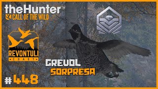 🦌theHunter CotW 448  GREVOL SORPRESA  GANSO CAZADO A 340M  REVONTULI COAST  Español [upl. by Eamon597]