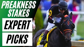 EXPERT Preakness Stakes Picks and Predictions  2024 Free Horse Racing Picks [upl. by Goody774]