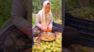 Walnut Harvesting  My Village Life  Best Vlogs  Short [upl. by Stoat]