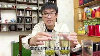 信阳毛尖的三种泡法，茶叶知识第28期，最后还是得用上投法 茶叶 品茶 泡茶 泡茶技巧 [upl. by Leeth]