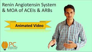 Renin Angiotensin System  Mechanism of ACEIs and ARBs [upl. by Nilra]