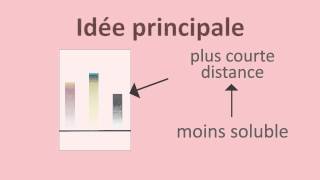 Chromatographie sur papier et sur couche mince  FuseSchool  Unisciel [upl. by Anawad]