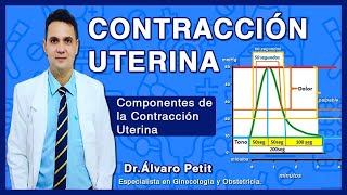 Clase Componentes de la Contraccion Uterina [upl. by Schaab]