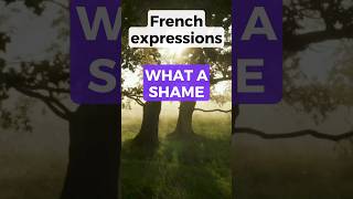 3 Ways to say WHAT A SHAME in French shorts [upl. by Sirrom]