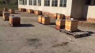 How to prepare a Langstroth hive for winter if the colony is not big enough [upl. by Garland]