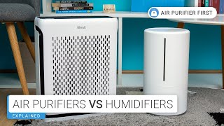 Air Purifiers Vs Humidifiers What’s Best for You [upl. by Eimoan]