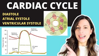 Alevel CARDIAC CYCLE Diastole atrial systole ventricular systoles the pressure volume changes [upl. by Jeffers]