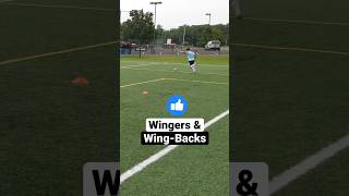 Dribbling Drills for 🪽Winger 🪽 football footballshorts footballedits [upl. by Huntingdon704]