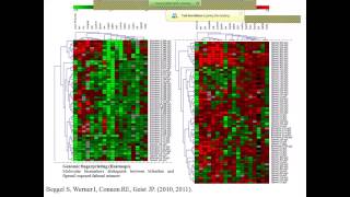 EffectBased Tools Monitoring amp Predicting Aquatic Ecotoxicological Effects of Chemicals Part II [upl. by Ettevey]