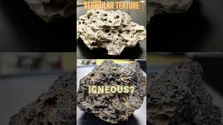 Vesicular Texture Igneous Rocks [upl. by Kee690]