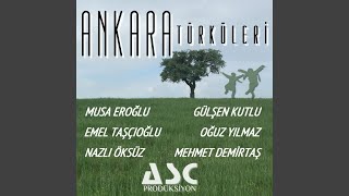 Ankarada Yedim Taze Meyvayı [upl. by Annuaerb]