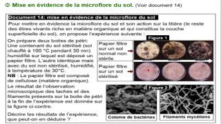 TCSFU1Ch2EP8  action de microfaune et microflore sur le sol minéralisation et humufication [upl. by Isdnil]