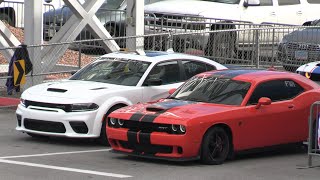 Hellcat Charger vs Hellcat Challenger  drag racing [upl. by Erskine]